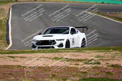 media/Feb-25-2024-Speed Ventures (Sun) [[b9a2a97a4d]]/Mustang Drivers Club/Session 3 (Turn 2)/